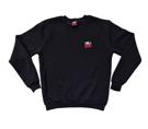 BAD BOY Core 2 crewneck - black